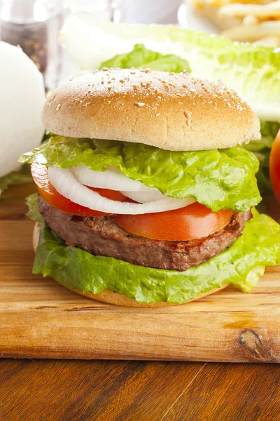 Hamburger biologico fatto in casa — Foto Stock