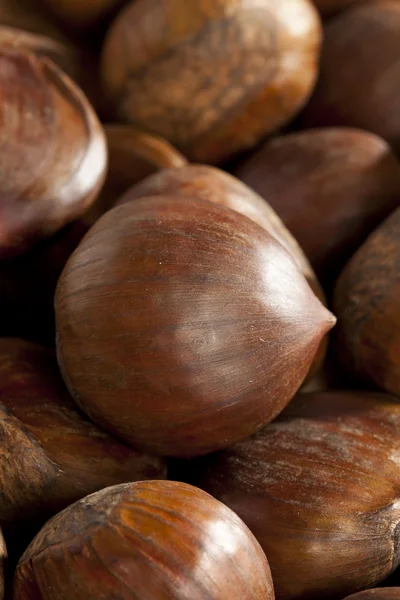 Raw Organic Brown Chestnuts — Stock Photo, Image