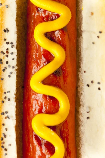 Organische all rundvlees hotdog — Stockfoto