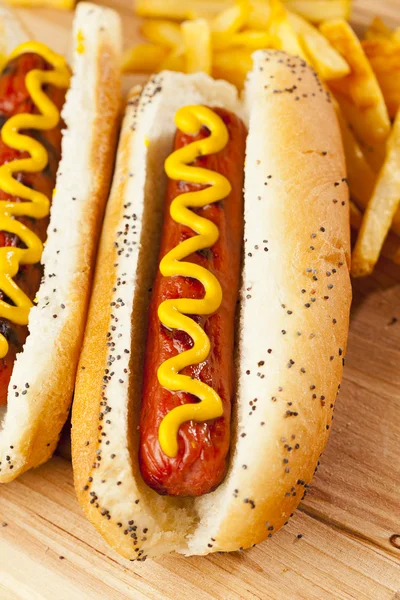 Organische all rundvlees hotdog — Stockfoto