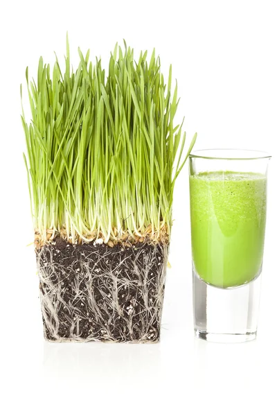 Grønnsaker med økologisk hvetekorn – stockfoto