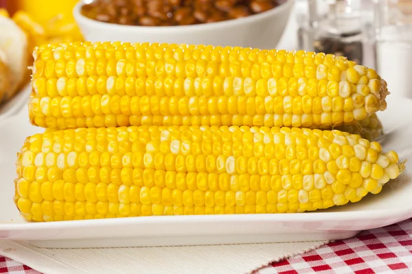 Fresh Organic Yellow Corn on the Cob — Stock Photo, Image
