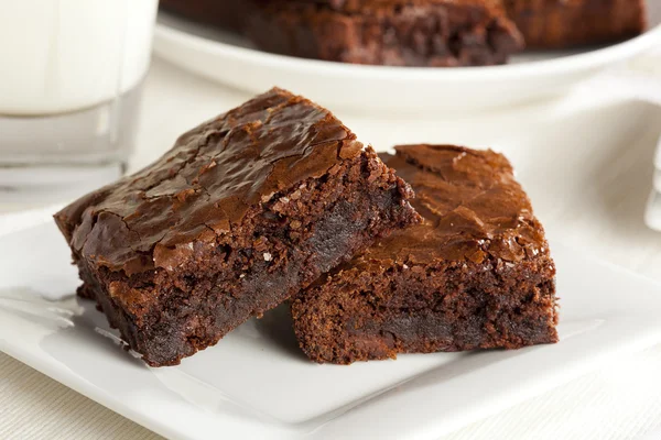 Verse zelfgemaakte chocolade brownie Stockfoto