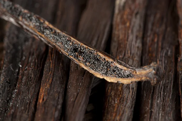 Frijol de vainilla ecológico marrón fresco — Foto de Stock