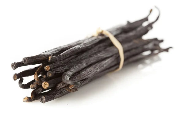Свіжі коричневий органічних стручок ванілі — стокове фото