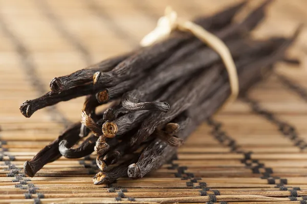 Fresh Brown Organic Vanilla Bean — Stock Photo, Image