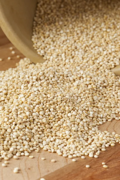 Rauwe biologische quinoa zaden — Stok fotoğraf