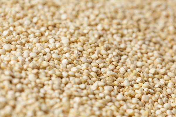 Rauwe biologische quinoa zaden — Stockfoto