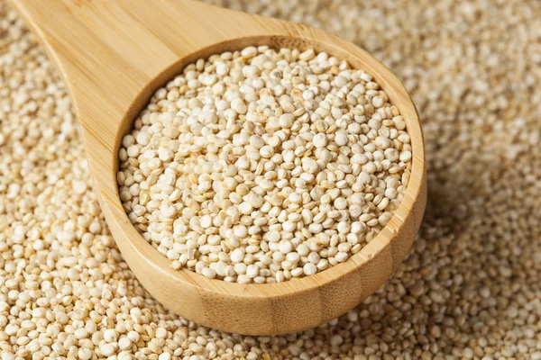 rauwe biologische quinoa zaden