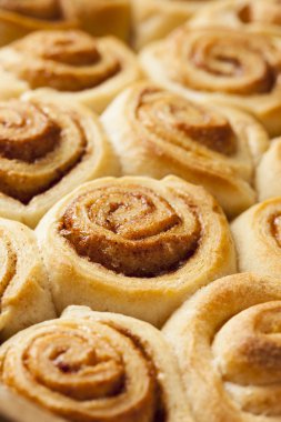 ev yapımı mini rulo tarçın