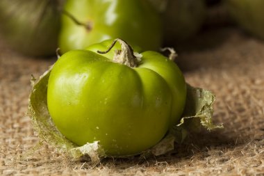taze yeşil organik domates