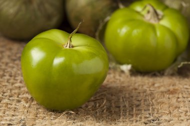 taze yeşil organik domates