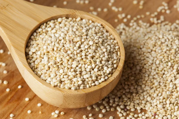 Semi di quinoa biologica grezza — Foto Stock