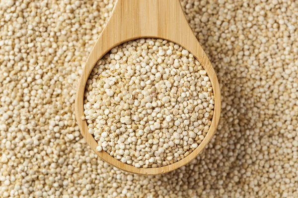 Ακατέργαστη βιολογική quinoa σπόροι — Φωτογραφία Αρχείου