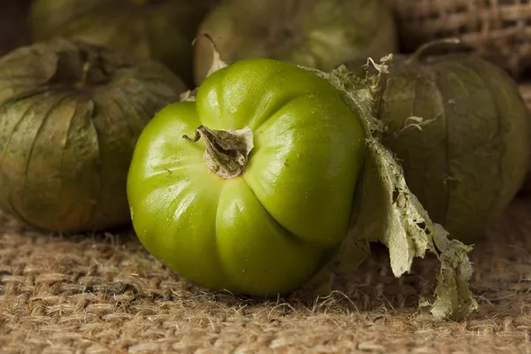 Verse groene organische tomatillo — Stockfoto