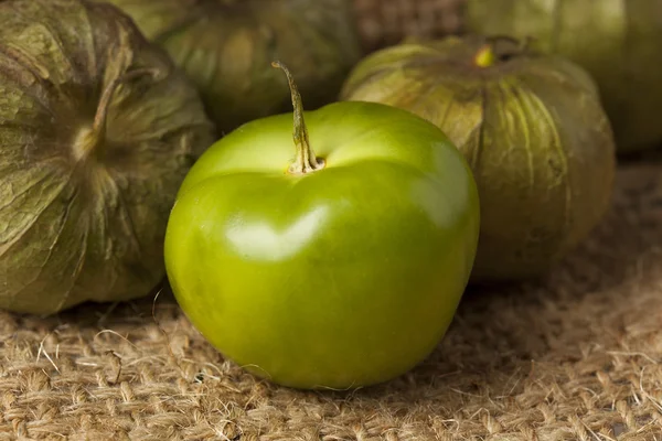 Fresh Green Organic Tomatillo — Stock Photo, Image