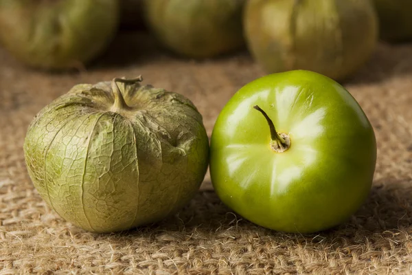 Taze yeşil organik domates — Stok fotoğraf