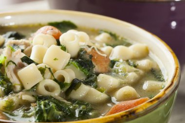 sağlıklı ıspanak ve tavuk çorbası