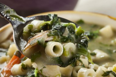 sağlıklı ıspanak ve tavuk çorbası