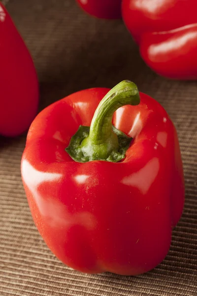 Färska ekologiska röd paprika — Stockfoto