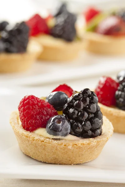 Torta de fruta caseira fresca — Fotografia de Stock