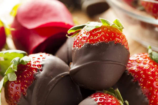 Fraises gourmandes couvertes de chocolat — Photo