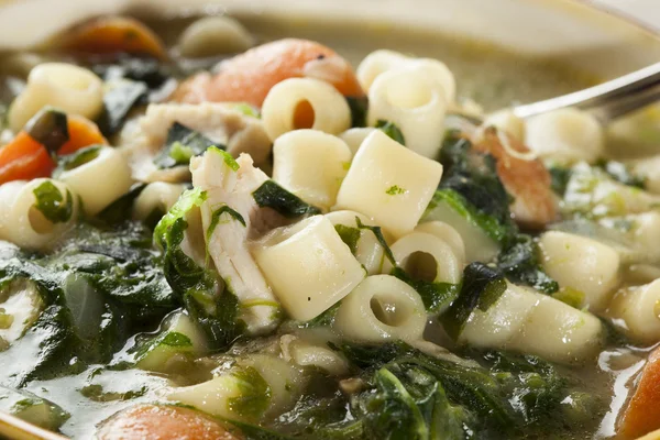 Zdravé špenát a kuřecí polévka — Stock fotografie