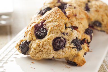 taze ev yapımı yaban mersini kahvaltı çörekleri