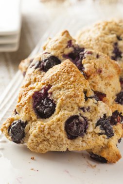 taze ev yapımı yaban mersini kahvaltı çörekleri