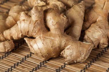 taze organik zencefil