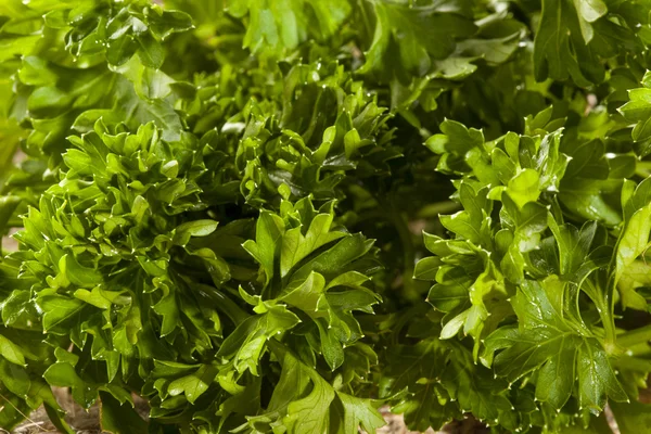 Organické zelené petrželky — Stock fotografie