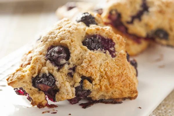 taze ev yapımı yaban mersini kahvaltı çörekleri