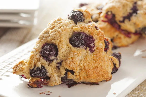 Fresh Homemade Blueberry Breakfast Scones — Stock Photo, Image