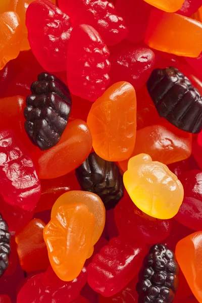 Organic Fruit Gummy Snacks for Kids — Stock Photo, Image