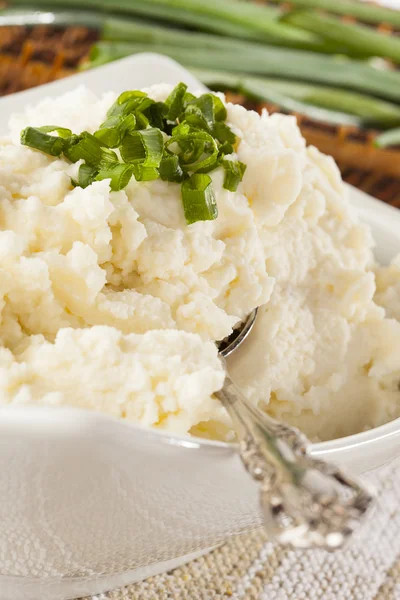 Fresh Homemade Mashed Potatoes — Stock Photo, Image