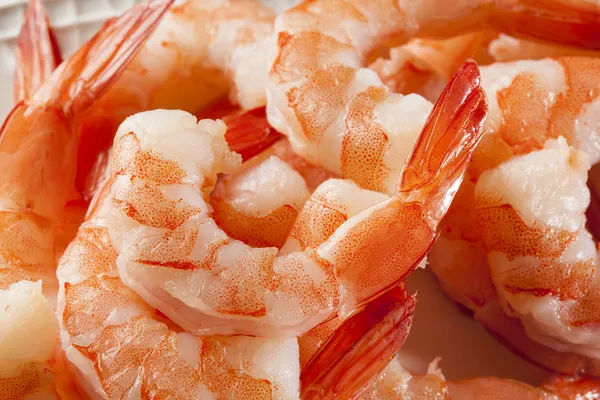 Frischer Bio-Shrimp-Cocktail — Stockfoto