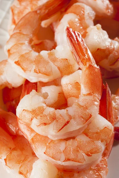 Frischer Bio-Shrimp-Cocktail — Stockfoto