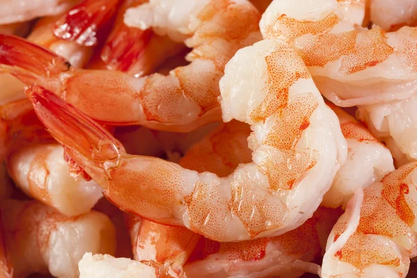 Frischer Bio-Shrimp-Cocktail — Stockfoto