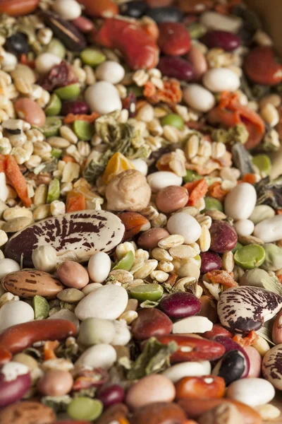 Group of Assorted Dry Beans — Stock Photo, Image