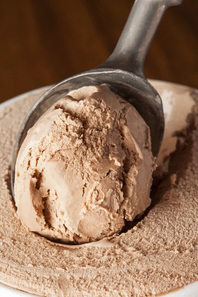 Helado orgánico frío — Foto de Stock