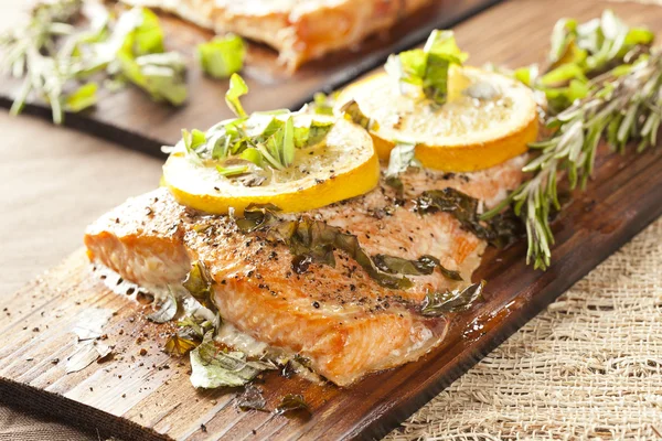 Salmone fresco alla griglia — Foto Stock