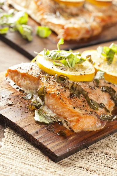 Salmone fresco alla griglia — Foto Stock