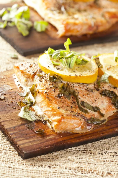 Salmone fresco alla griglia — Foto Stock