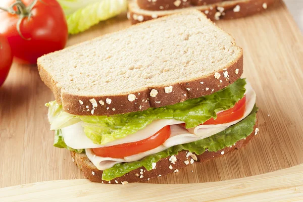 Fresh Homemade Turkey Sandwich — Stock Photo, Image