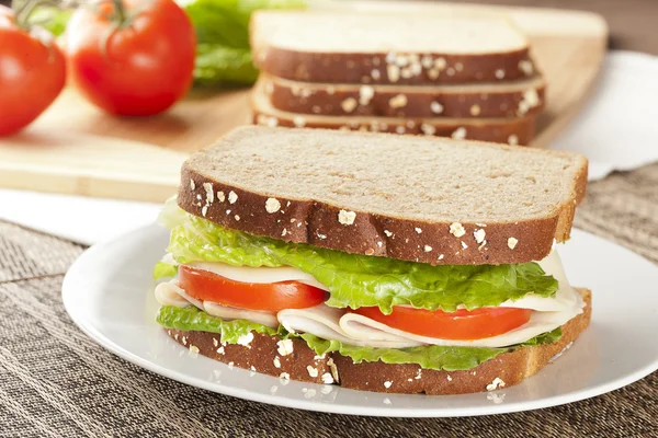 Fresh Homemade Turkey Sandwich — Stock Photo, Image