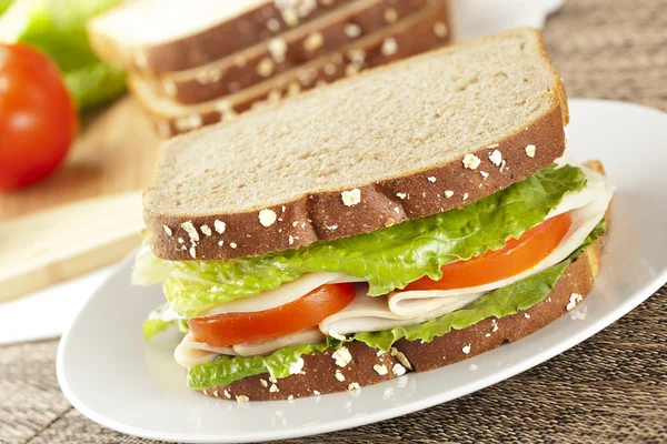 Свіжі домашнє Туреччина бутерброд — стокове фото