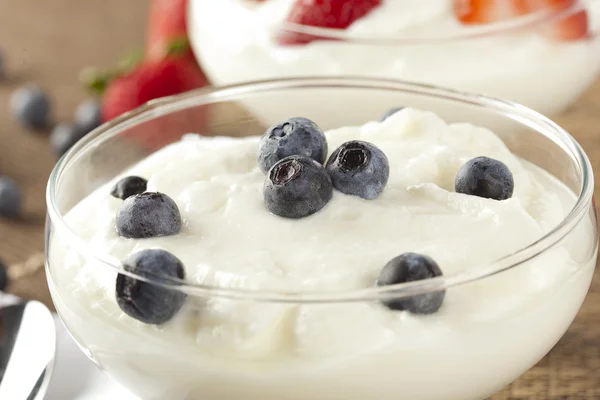 Yogurt greco biologico fresco con mirtilli — Foto Stock