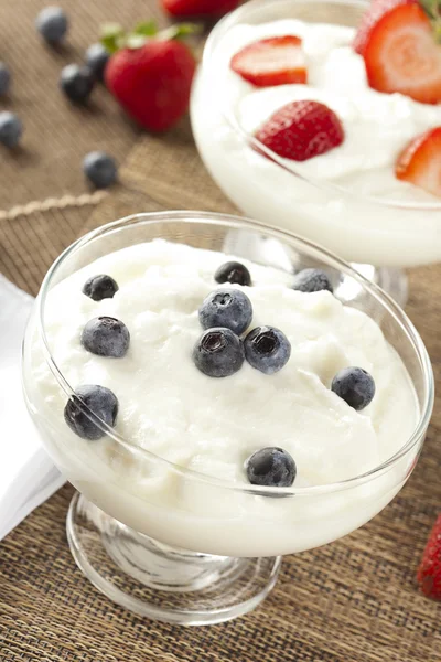 Yogurt greco biologico fresco con mirtilli — Foto Stock