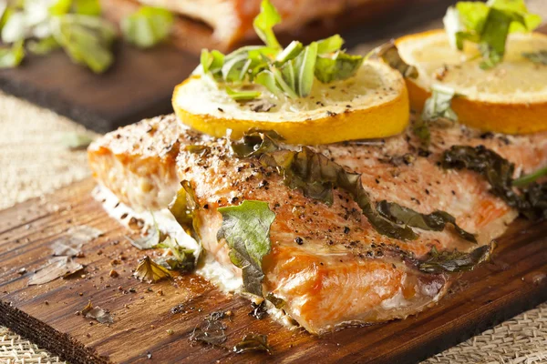 Fresh Grilled Salmon — Stock Photo, Image