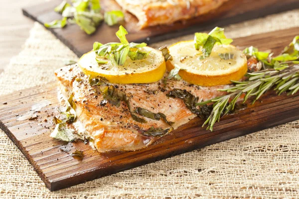 Salmone fresco alla griglia — Foto Stock